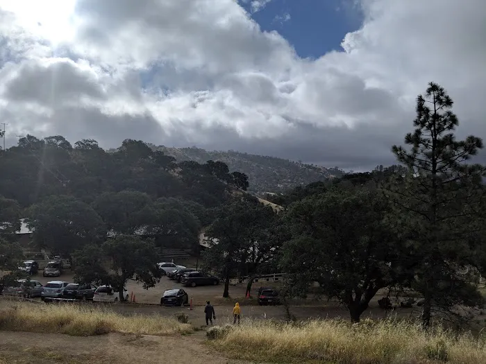 Manzanita Flats Picture 7