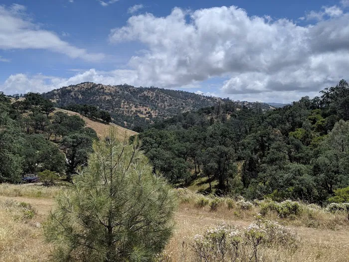 Manzanita Flats Picture 4