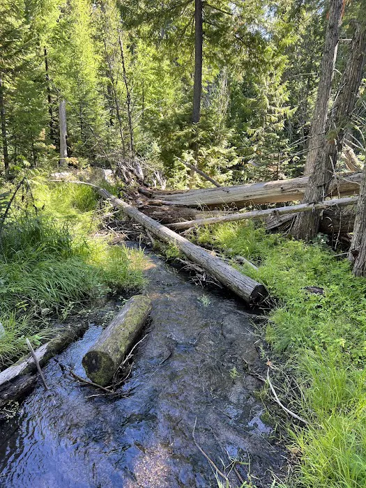 Lower Eightmile Crossing Campground Picture 2