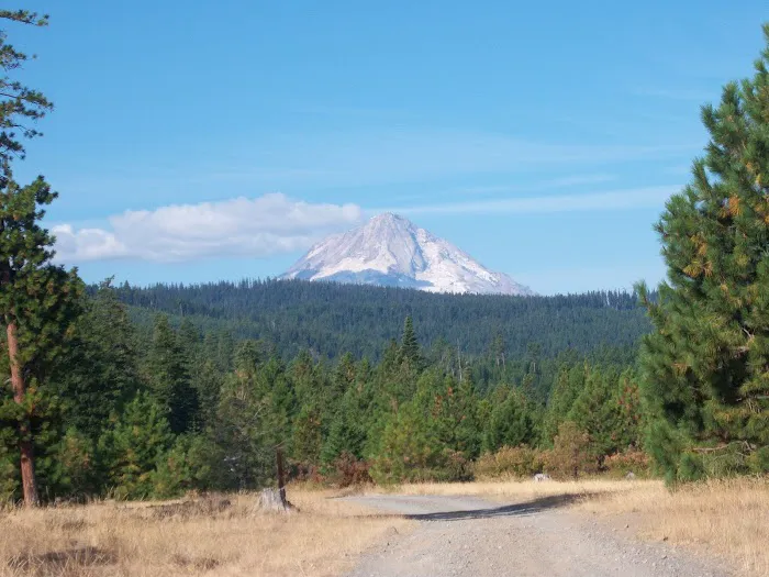 Lower Eightmile Crossing Campground Picture 1