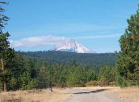 Lower Eightmile Crossing Campground