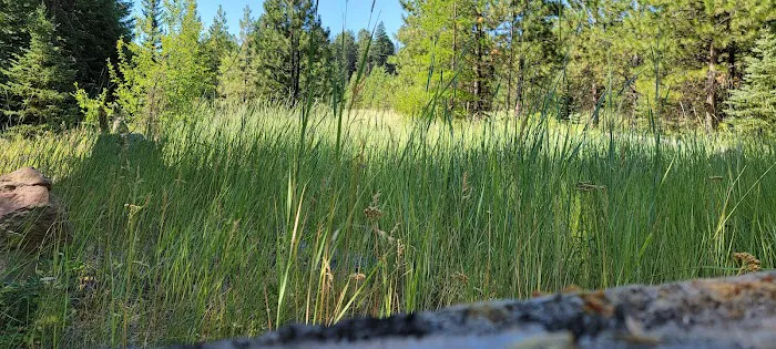 Lower Eightmile Crossing Campground Picture 3
