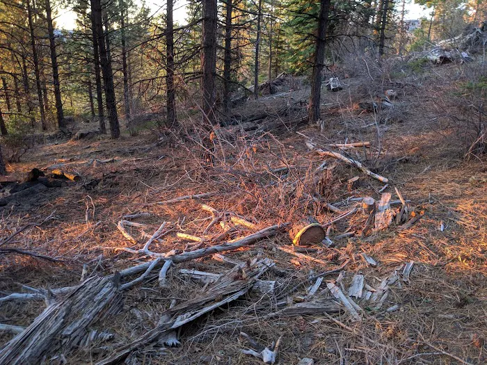 Eightmile Campground Picture 6