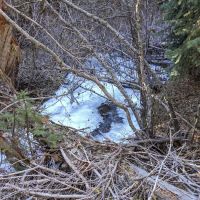 Eightmile Campground ico