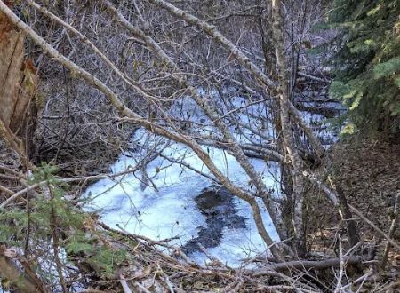 Eightmile Campground