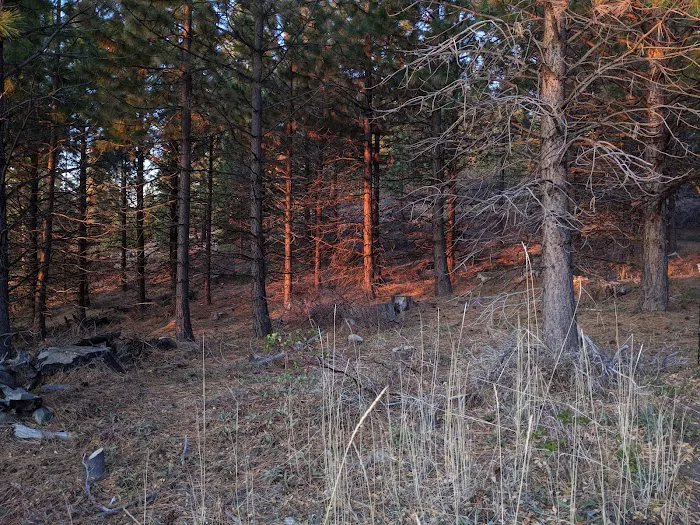 Eightmile Campground Picture 7