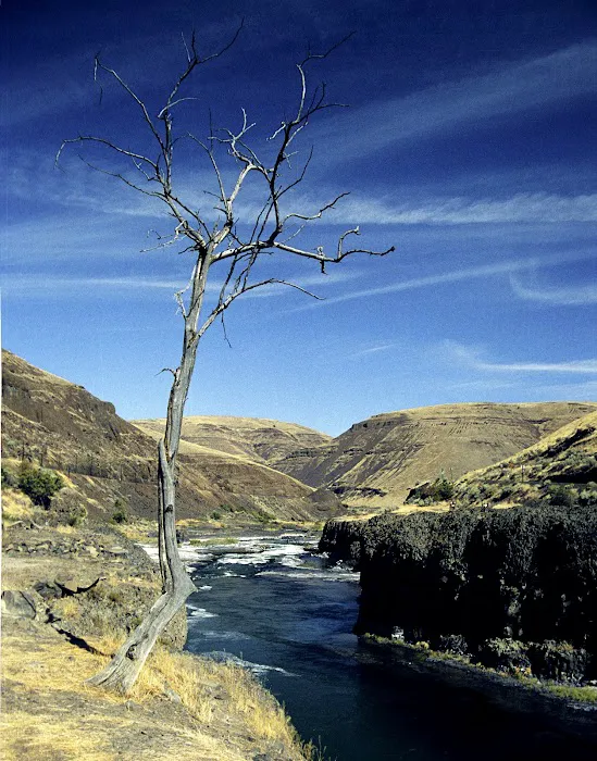 White River BLM Campground Picture 8