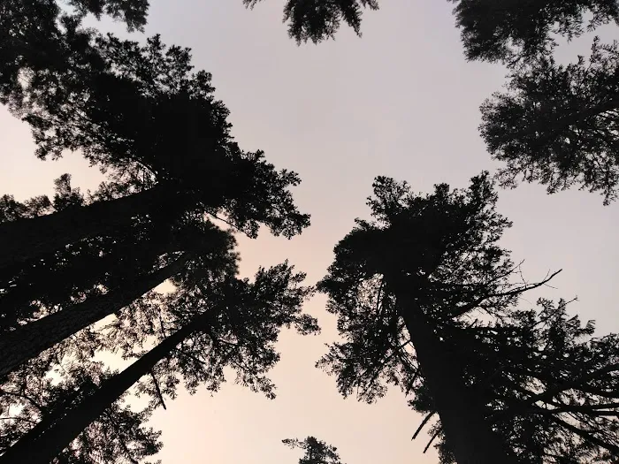 Little Badger Campground Picture 3