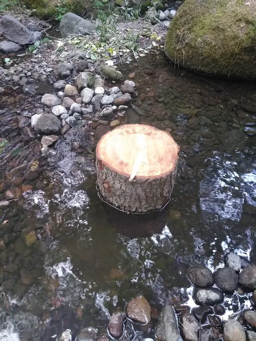 Little Badger Campground Picture 4