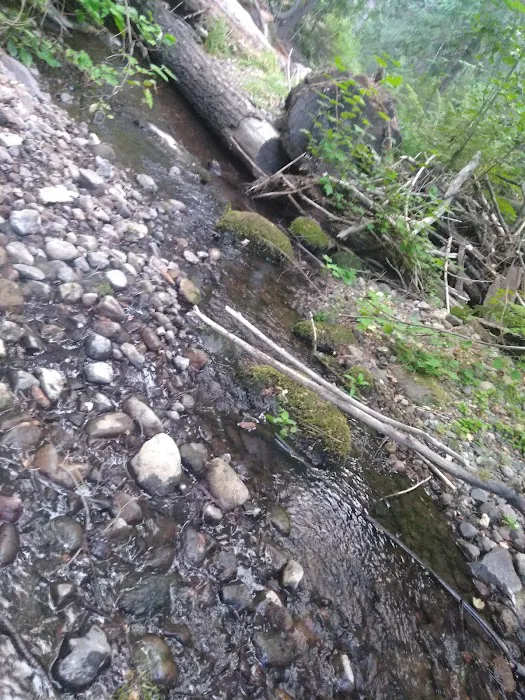 Little Badger Campground Picture 9