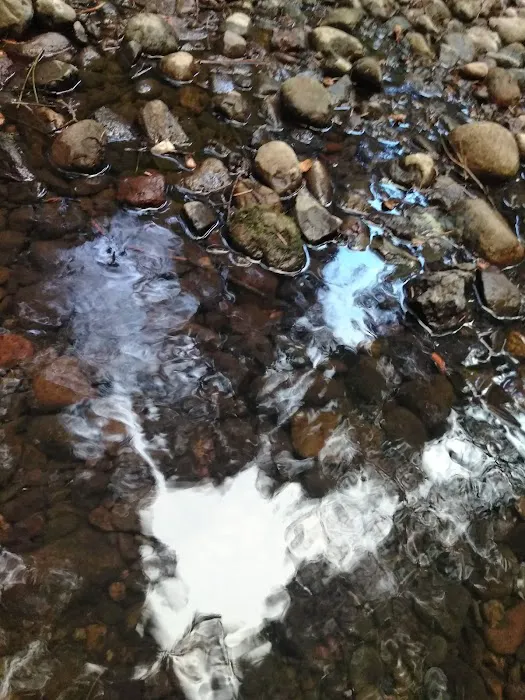 Little Badger Campground Picture 8