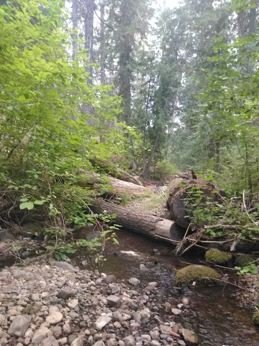 Little Badger Campground Picture 10