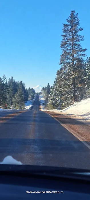 Brooks Memorial Group Campground Picture 5