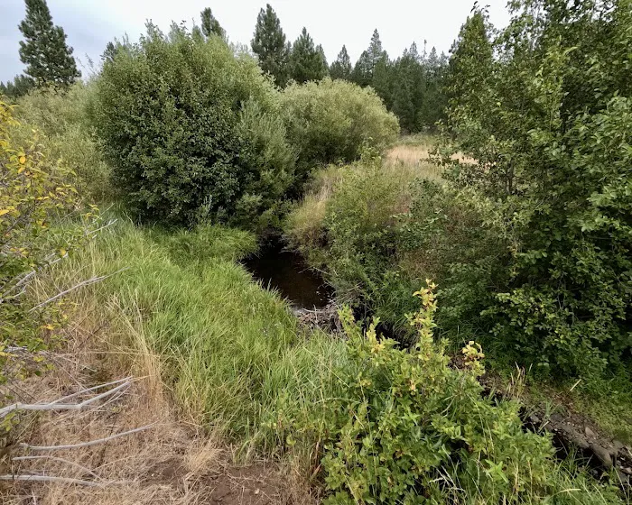 Brooks Memorial Group Campground Picture 2