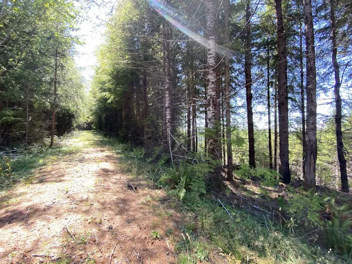 Tunerville Campground Picture 3