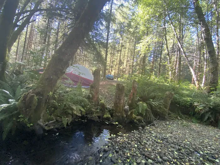 Tunerville Campground Picture 1