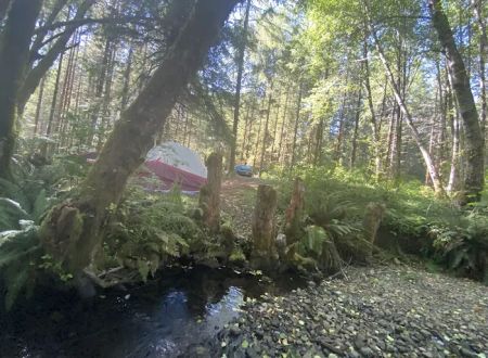 Tunerville Campground