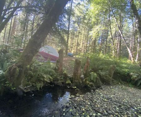 Tunerville Campground