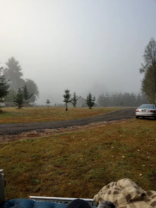 Deep River Camp Picture 6