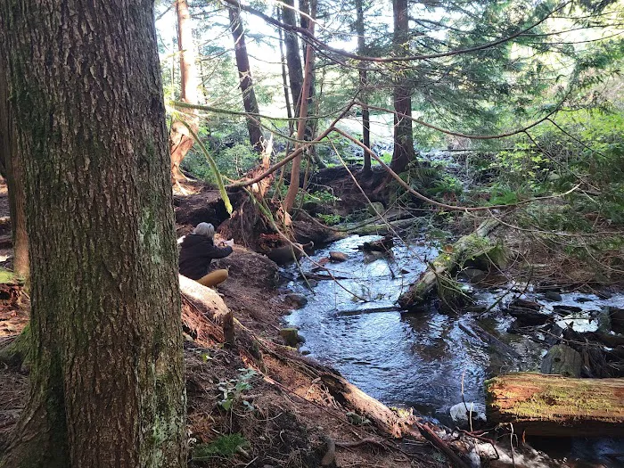Snag Lake Campground Picture 4