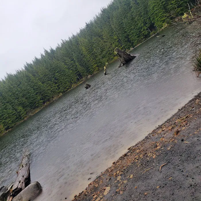 Snag Lake Campground Picture 2