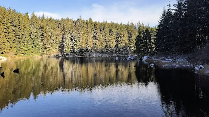 Snag Lake Campground Picture 1