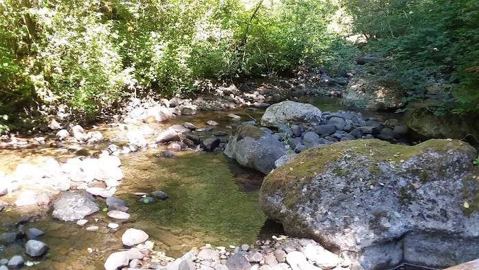 Butte Creek Falls Campground Picture 4