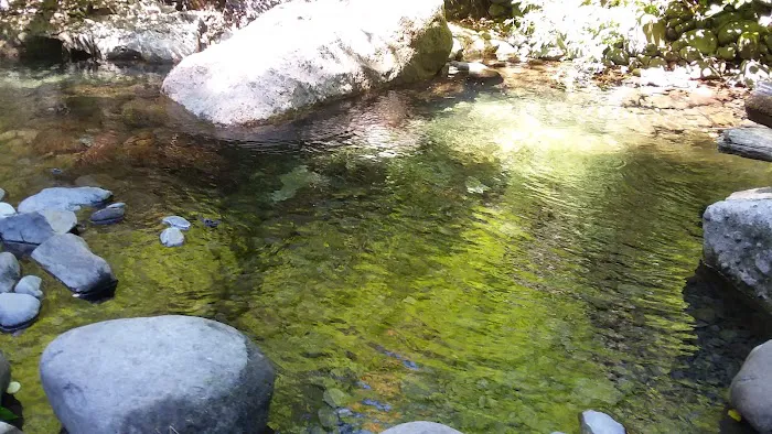 Butte Creek Falls Campground Picture 7