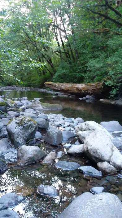 Butte Creek Falls Campground Picture 5