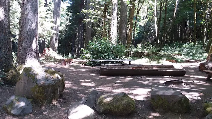 Butte Creek Falls Campground Picture 2