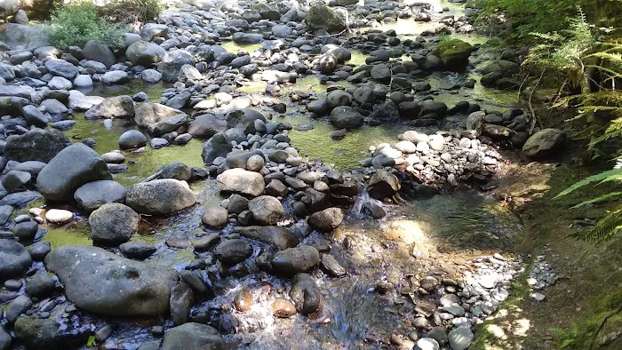 Butte Creek Falls Campground Picture 3