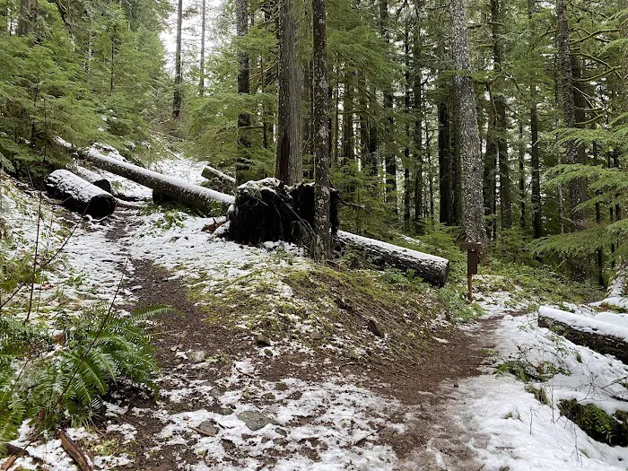 Indian Henry Campground Picture 8
