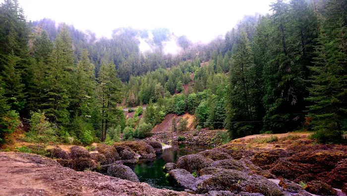 Indian Henry Campground Picture 6
