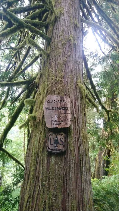 Indian Henry Campground Picture 3