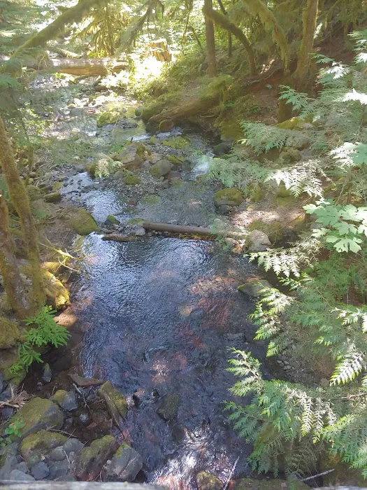 Indian Henry Campground Picture 4