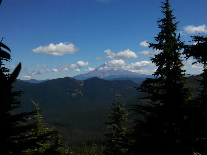 Shining Lake Campground Picture 2