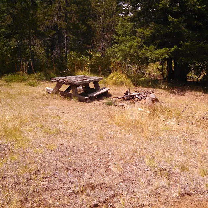 Shining Lake Campground Picture 3
