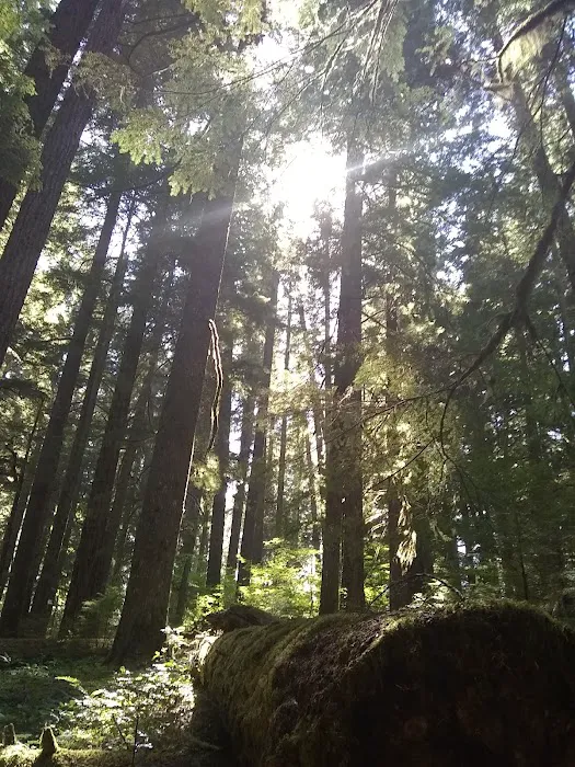 Alder Flat Trailhead Picture 10