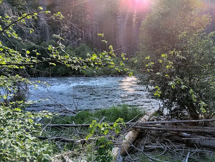 Ripplebrook Campground Picture 6