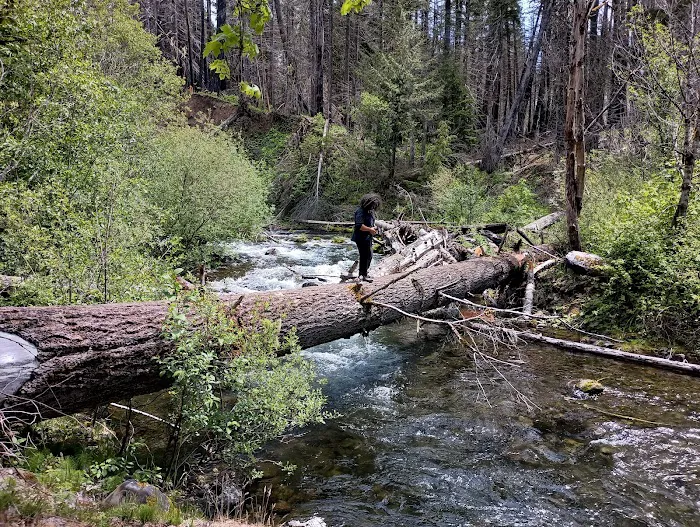 Ripplebrook Campground Picture 7