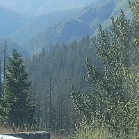 Ripplebrook Campground ico