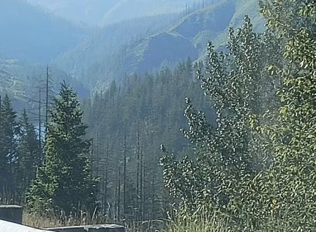 Ripplebrook Campground