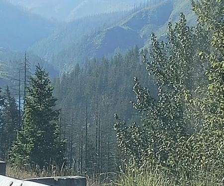 Ripplebrook Campground