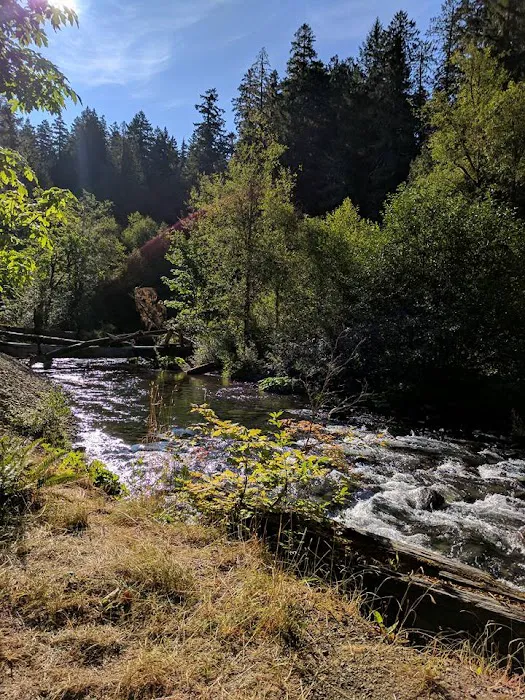 Ripplebrook Campground Picture 3