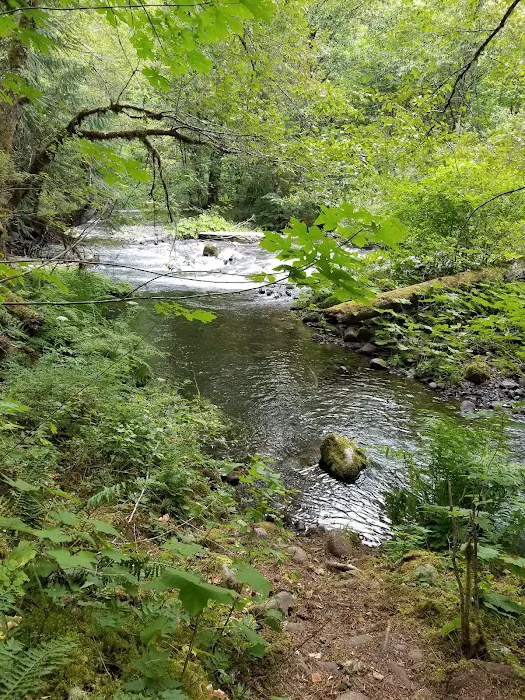 Rainbow Campground Picture 5