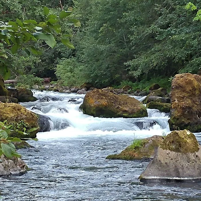 Riverside Campground Picture 5