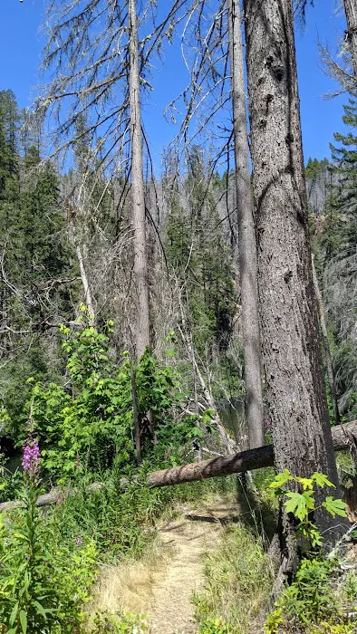 Riverside Campground Picture 9