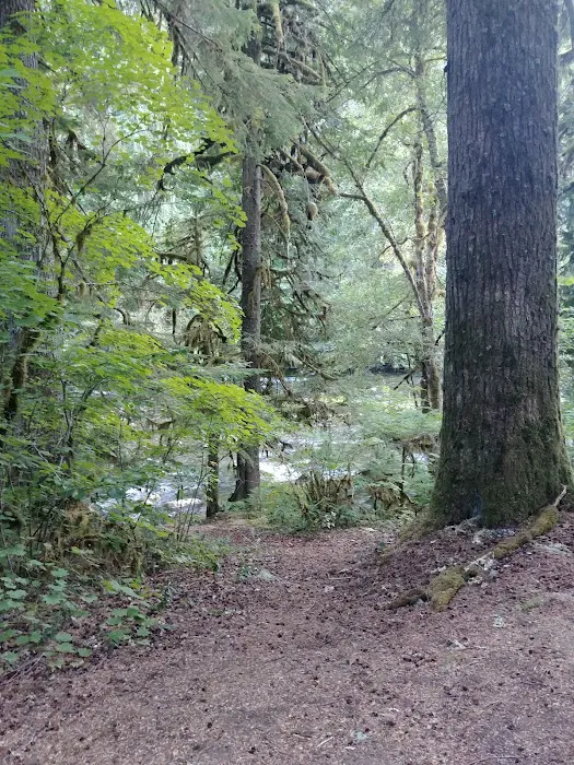 Riverford Campground Picture 5