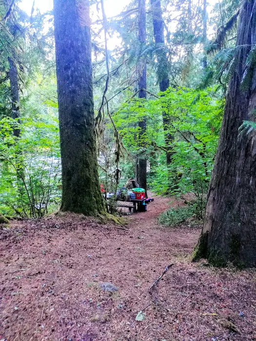 Riverford Campground Picture 10