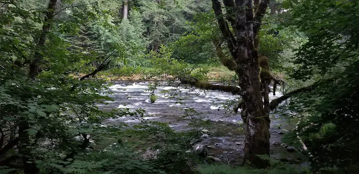 Riverford Campground Picture 2
